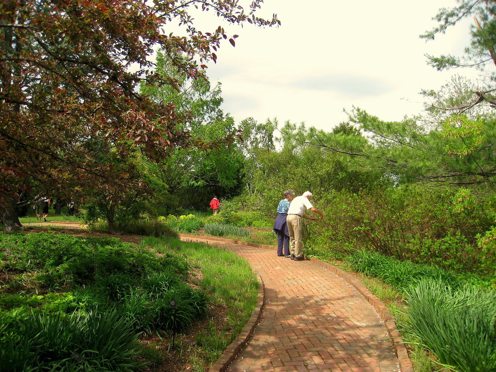 Brick walkway masonry in Marion County by Kkam Construction And Restoration